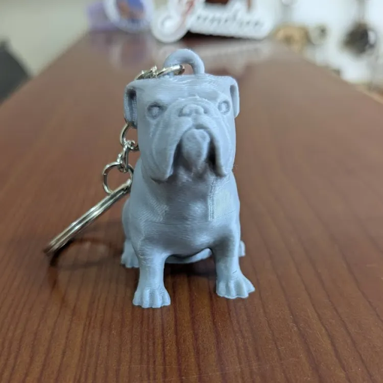 Perro pug color gris