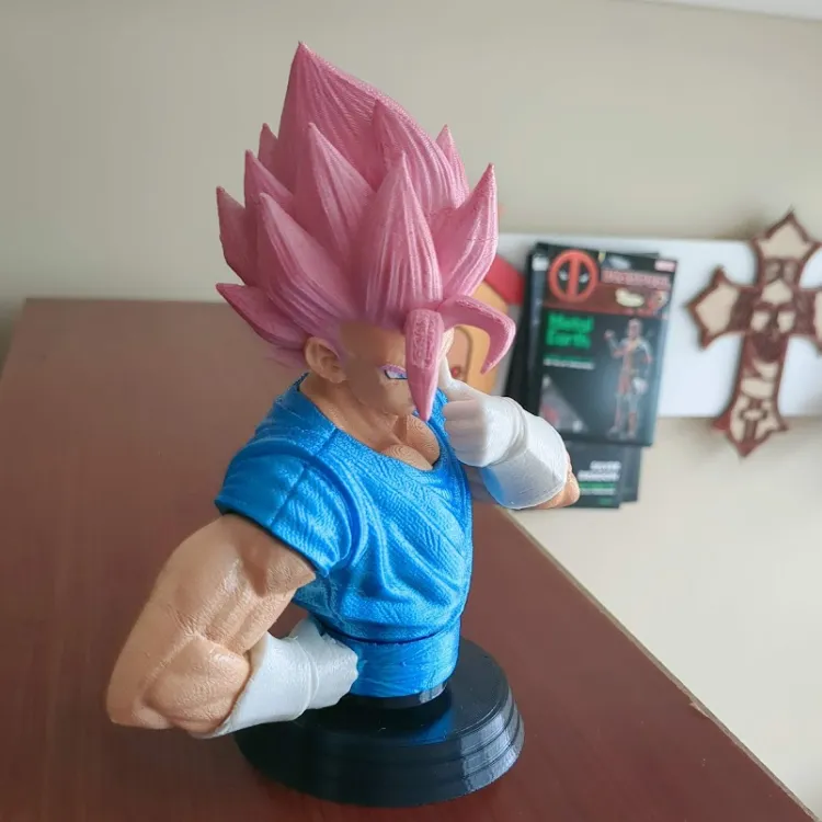 Vegetto - Imagen 2