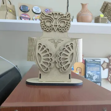 Organizador buhó