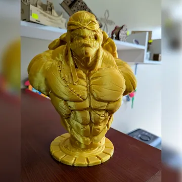 Tortuga Ninja