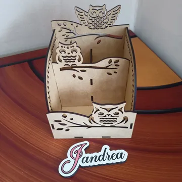 Organizador con temática de búho Crudo